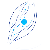 Expansión